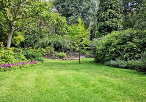Optimiser l'expérience du jardin à Vaudry